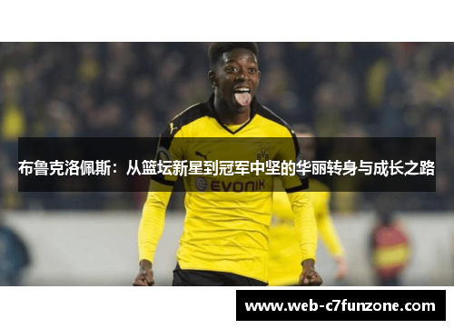 布鲁克洛佩斯：从篮坛新星到冠军中坚的华丽转身与成长之路
